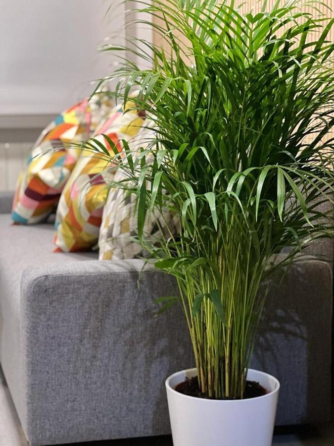Flat Near Real Stadium Apartment *